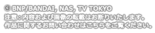 ©BNP/BANDAI, NAS, TV TOKYO 注意：内容および画像の転載はお断りいたします。お問い合せ先はこちらをご覧ください。