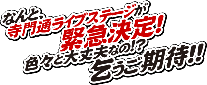 銀魂春祭り10 仮