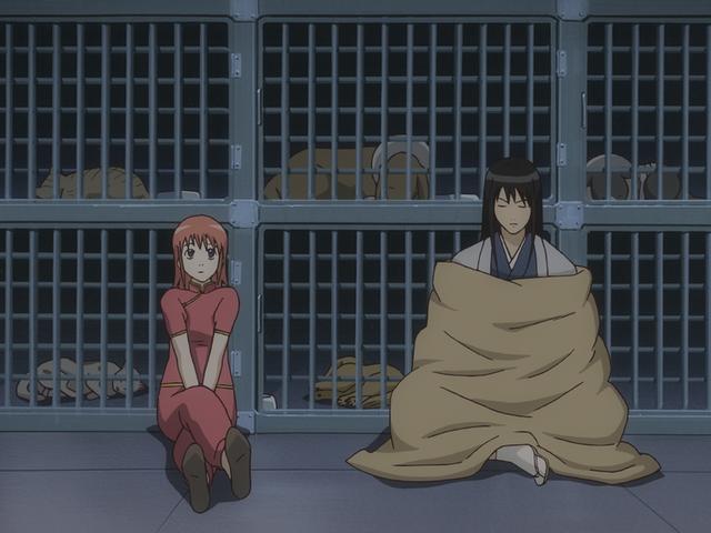 第129話 拾い食いに気をつけろ あらすじ アニメ銀魂