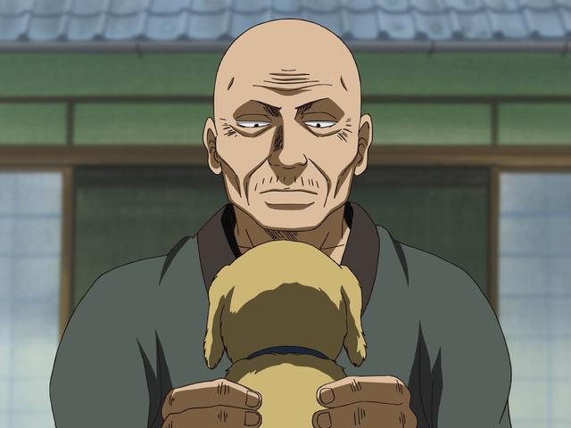 第130話 猫好きと犬好きは相容れない あらすじ アニメ銀魂 第130話 猫好きと犬好きは相容れない あらすじ アニメ銀魂