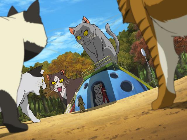 第130話 猫好きと犬好きは相容れない あらすじ アニメ銀魂 第130話 猫好きと犬好きは相容れない あらすじ アニメ銀魂