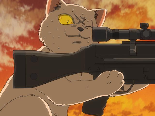 第130話 猫好きと犬好きは相容れない あらすじ アニメ銀魂 第130話 猫好きと犬好きは相容れない あらすじ アニメ銀魂