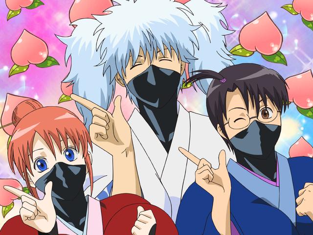 第141話 ケンカの横槍は危険 あらすじ アニメ銀魂