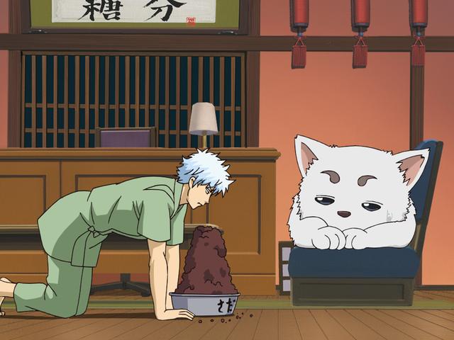 第173話 大事なのは見た目ではなく中身 見た目より中身といっても限度がある あらすじ アニメ銀魂 第173話 大事なのは見た目ではなく中身 見た目より中身といっても限度がある あらすじ アニメ銀魂