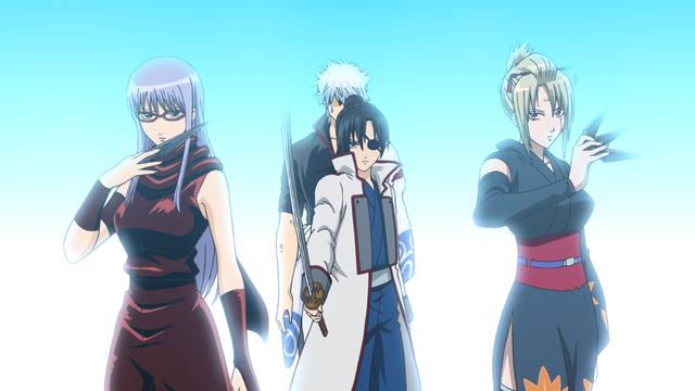 第255話 金さんの金 あらすじ アニメ銀魂